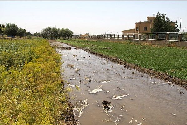مزارع سبزی و صیفی‌جات جنوب تهران به دستور وزیرکشاورزی قلع و قمع می‌شوند