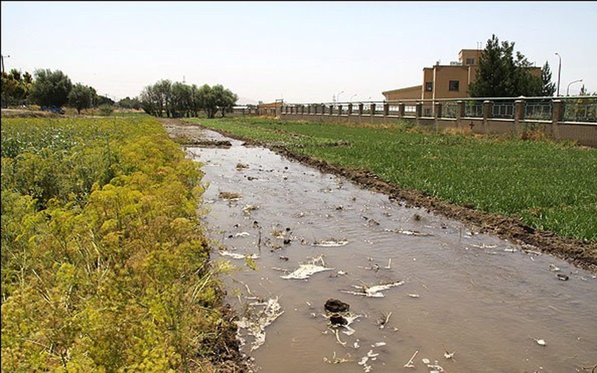 مزارع سبزی و صیفی‌جات جنوب تهران به دستور وزیرکشاورزی قلع و قمع می‌شوند