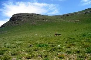 معاون حفاظت و امور اراضی سازمان جنگل‌ها: سند غیرکاداستری برای اراضی ملی صادر نمی‌شود