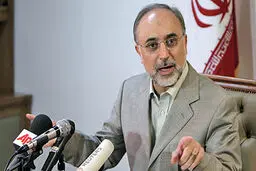 صالحی: در توافق نهایی از میان تحریم‌های آمریکا، تحریم‌های ثانویه 