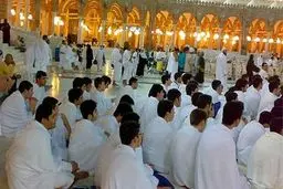 نوش‌آبادی:  در صورت عذرخواهی رسمی عربستان، عمره از سر گرفته می‌شود