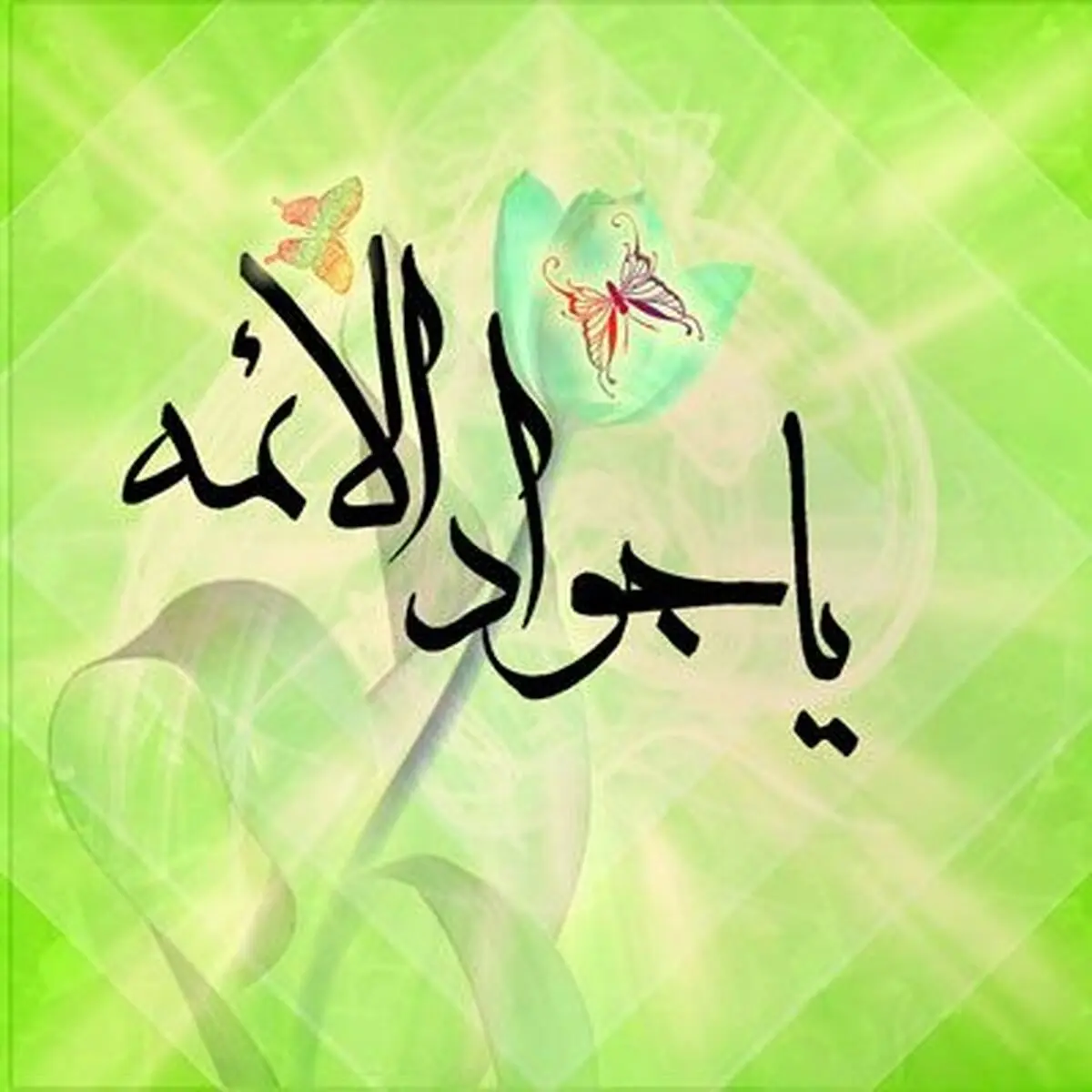 "امام جواد(ع)، با برکت‌ترین فرزندی بود که به دنیا آمد"