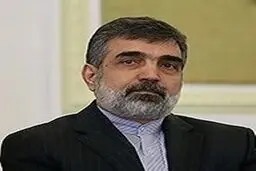 کمالوندی: بنایی برای ورود به جنگ فکت‌شیت نداشته و نداریم