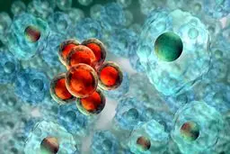 خیرین برای ساخت پژوهشکده‌های سلول‌های بنیادین سرمایه‌گذاری کنند