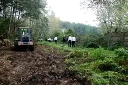 کهرم: سالانه یک تا ۱.۵ درصد جنگل‌های کشور از بین می‌رود