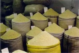 رئیس اتحادیه بنکداران: عده‌ای از دلالان بنام به دنبال واردات برنج هندی هستند