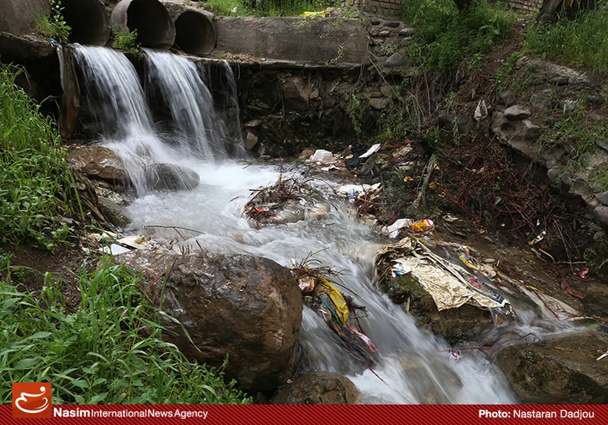 گزارش تصویری:: روز زمین پاک