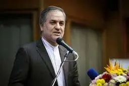 سخنگوی ارشاد: صرف حمایت داخلی و ملی از آثار ادبی هنری کافی نیست