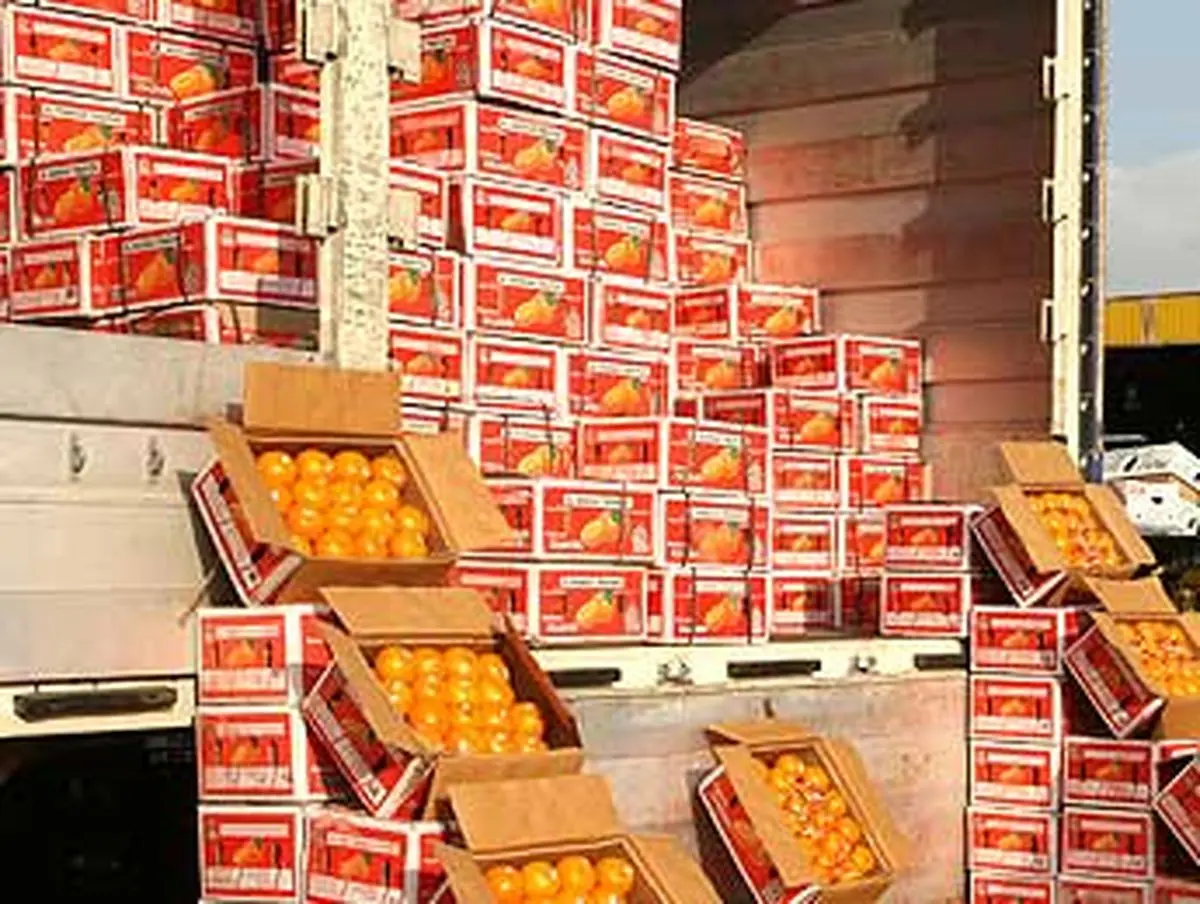 خبر صادرات میوه به ترکیه تکذیب شد