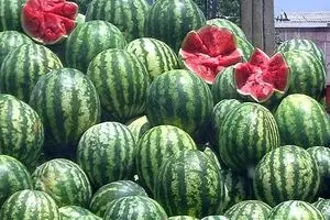 هنداونه‌های صادراتی ایران عاری از هرگونه آلودگی هستند