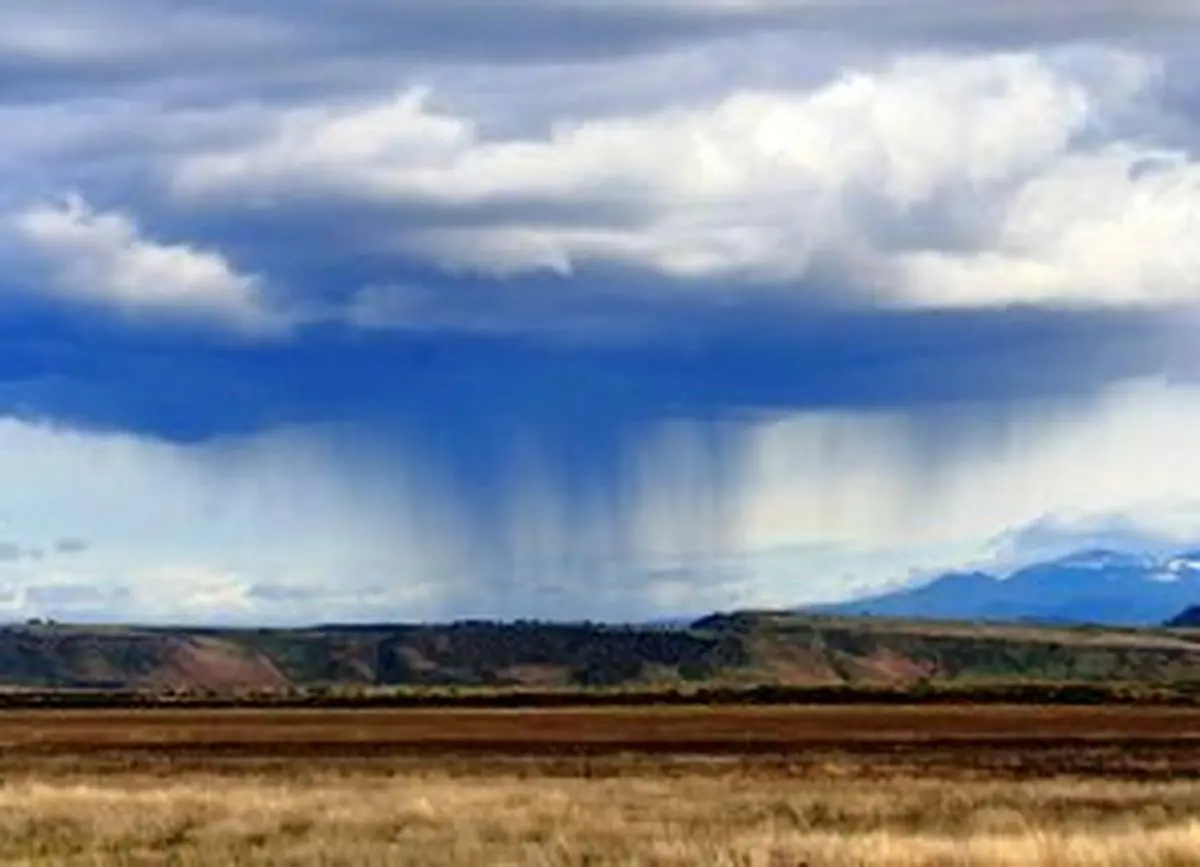 میزان بارندگی، در اردیبهشت ماه امسال ۱۱ درصد کاهش یافت