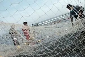 رئیس سازمان شیلات: تعرفه‌های ترجیحی صدور محصولات شیلاتی به روسیه	۲.۵ تا ۷.۵ درصد شد