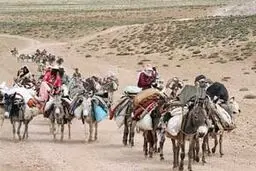 شرایط عضویت در صندوق بیمه اجتماعی کشاورزان،‌ روستائیان و عشایر اعلام شد
