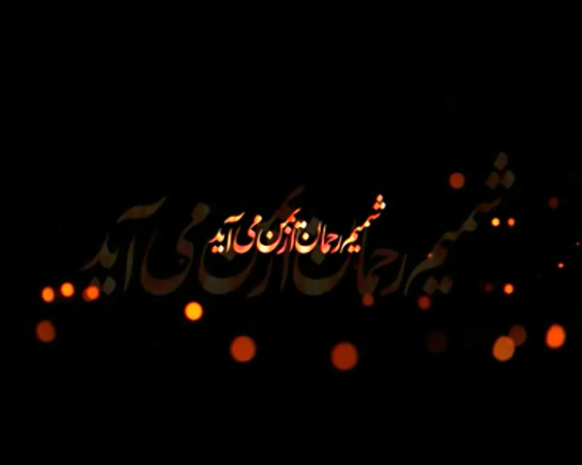 فیلم:: کلیپ تصویری "شمیم رحمان از یمن می‌آید"