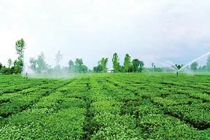 معاون وزیر جهاد کشاورزی: پنج میلیارد مترمکعب آب برای تولید برق به هدر رفت