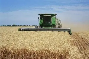 خرید تضمینی گندم به یک میلیون و ۲۰۰ هزار تن رسید