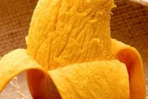 رئیس اتحادیه محصولات کشاورزی:  انبه‌های وارداتی آلوده است