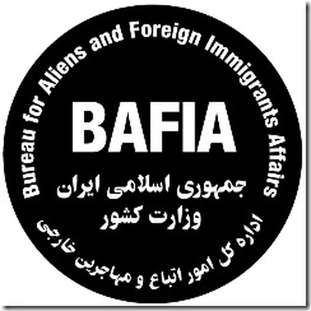 محمدی‌فر: بیش از ۹۵۱ هزار مهاجر افغانستانی ثبت‌نام شده در ایران حضور دارند