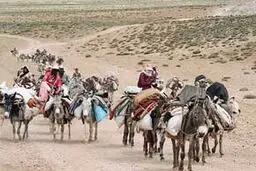زندگی عشایر ایرانی در شبکه مستند روایت می‌شود
