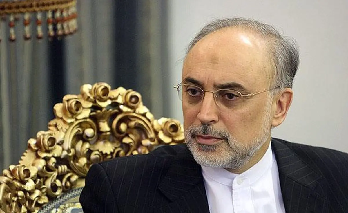 جمعی از مقامات کشوری  از صالحی عیادت کردند