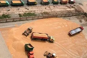 خرید تضمینی گندم از مرز یک میلیون تن گذشت