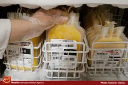 مدیر عامل بانک خون بند ناف رویان از
ذخیره‌سازی ۵۲ هزار نمونه خون بند ناف در کشور خبر داد