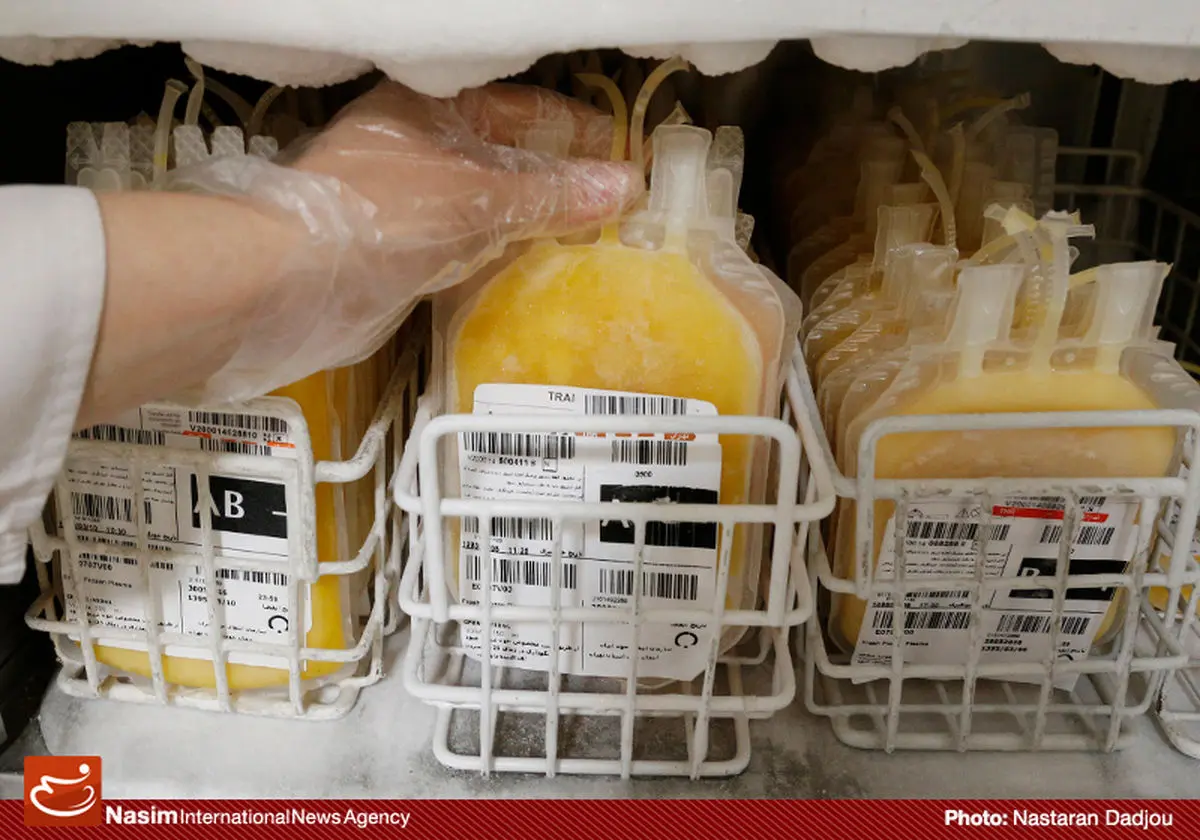 مدیر عامل بانک خون بند ناف رویان از
ذخیره‌سازی ۵۲ هزار نمونه خون بند ناف در کشور خبر داد