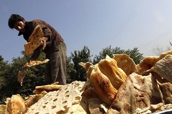 هر ایرانی در سال ۵۰ کیلو نان هدر می‌دهد