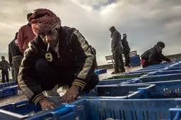 بانک جهانی: اقتصاد غزه در آستانه فروپاشی قرار دارد