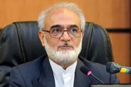 ایروانی: استانی شدن انتخابات مجلس، خلاف مسیر مردم‌سالاری دینی است