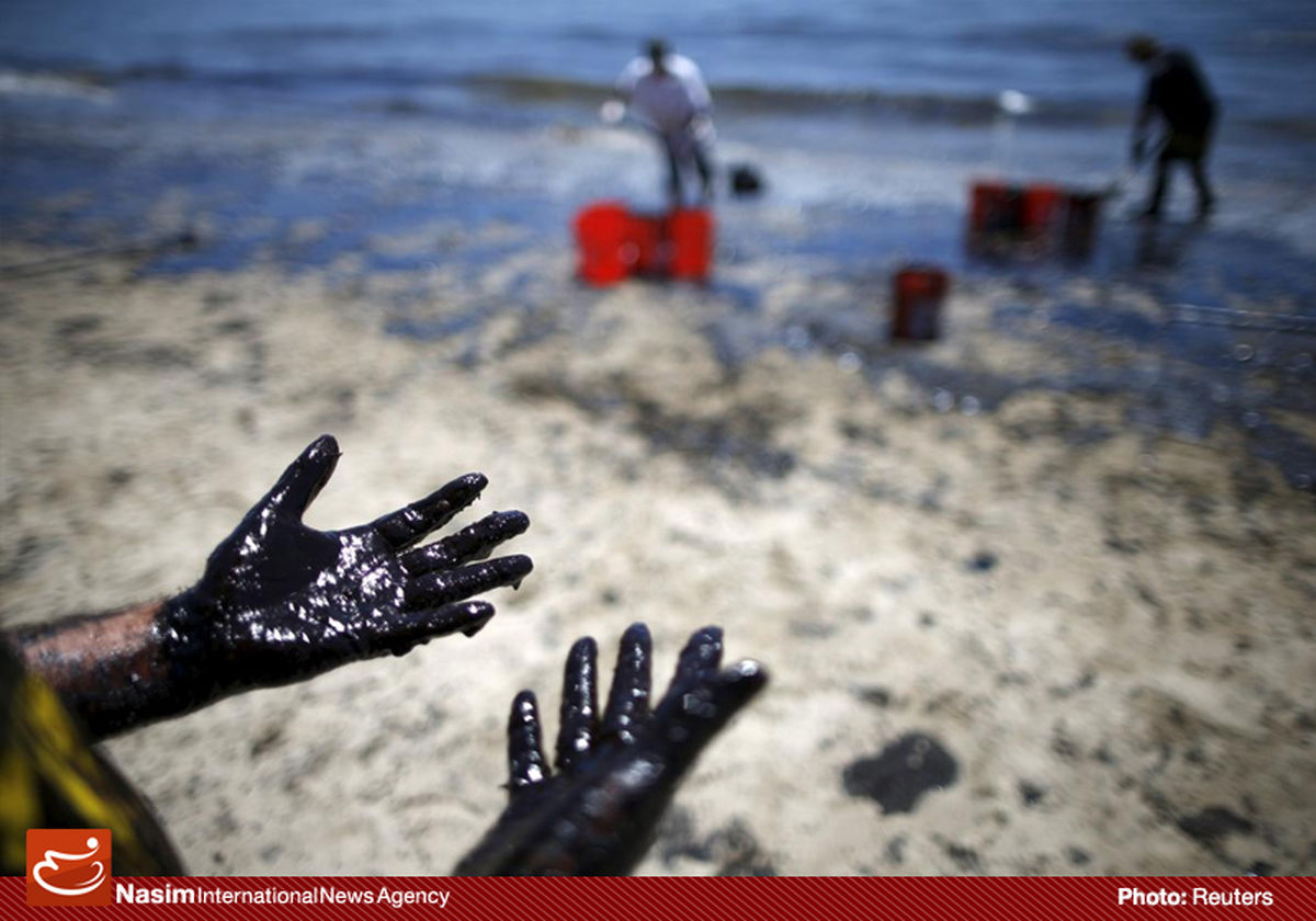 گزارش تصویری:: نشت نفت در کالیفرنیا
