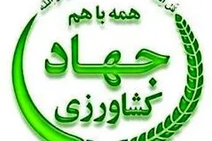 قیمت تضمینی ۹۲۰ تومانی جو ابلاغ شد