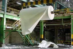 علایی: عده‌ای عمدا کاغذهای داخلی را بی‌کیفیت نشان می‌دهند