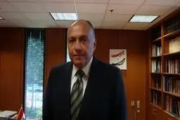 وزیر خارجه مصر: عربستان و بحرین دنبال سیاست‌های توسعه‌طلبانه  هستند/ ایران قدرت بزرگ منطقه‌ای است