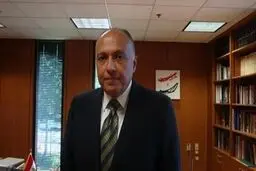 وزیر خارجه مصر: عربستان و بحرین دنبال سیاست‌های توسعه‌طلبانه  هستند/ ایران قدرت بزرگ منطقه‌ای است