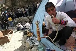 ۳.۵ درصد مردم هر روز قلیان می‌کشند