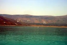 آب خروجی از سدهای کشور ۷.۹ درصد کاهش یافت