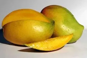 قیمت انبه صادراتی به ایران دو برابر شد