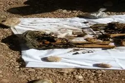 محل کشف پیکر شهدای غواص