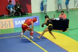 دبیر فدراسیون ووشو منصوب شد