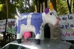 یک دامدار: کمک نمی‌خواهیم؛ دولت قانونی که خودش تصویب کرده  را اجرا کند