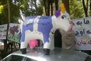 یک دامدار: کمک نمی‌خواهیم؛ دولت قانونی که خودش تصویب کرده  را اجرا کند