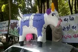 یک دامدار: کمک نمی‌خواهیم؛ دولت قانونی که خودش تصویب کرده  را اجرا کند