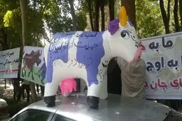 یک دامدار: کمک نمی‌خواهیم؛ دولت قانونی که خودش تصویب کرده  را اجرا کند