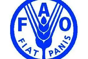 قیمت جهانی مواد غذایی  به پایین‌ترین سطح در شش سال گذشته رسید