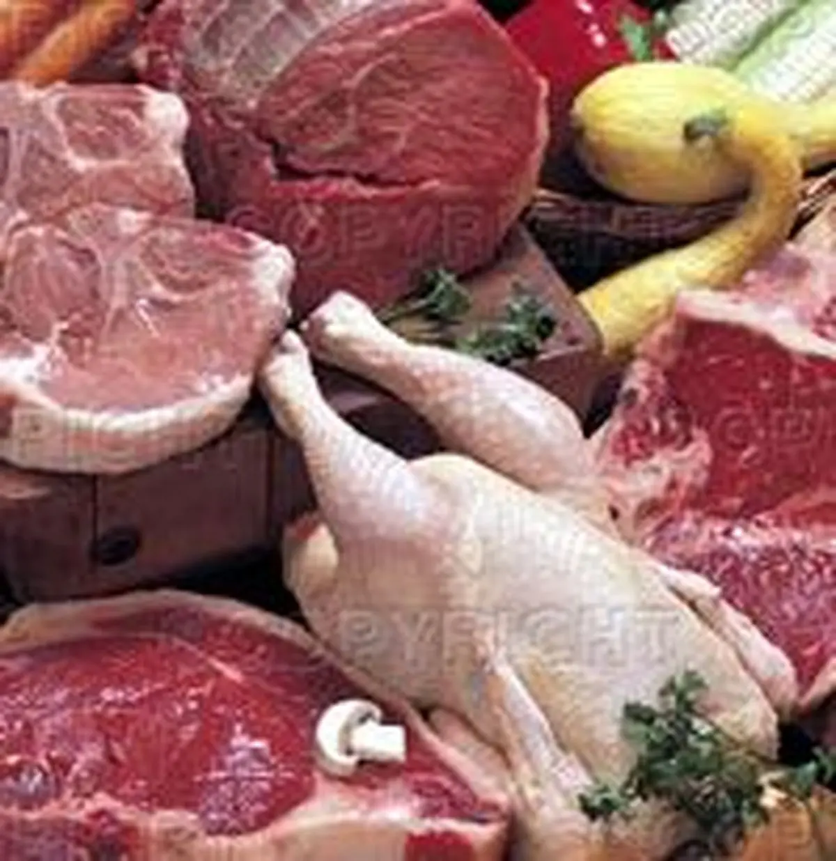 جزئیات قیمت محصولات پروتئینی در بازار +جدول قیمت