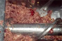 استفاده از خمیر مرغ همچنان ممنوع است