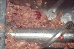 استفاده از خمیر مرغ همچنان ممنوع است