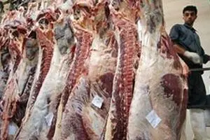 مدیرعامل اتحادیه مرکزی دامداران: امسال هیچ نیازی به واردات گوشت قرمز نداریم