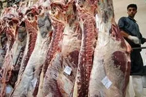 مدیرعامل اتحادیه مرکزی دامداران: امسال هیچ نیازی به واردات گوشت قرمز نداریم